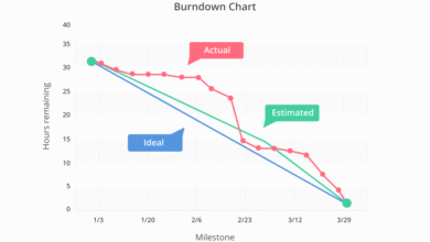 Burndown