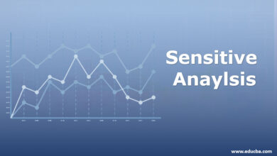 تحليل الحساسية Sensitivity Analysis