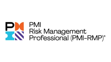 PMI RMP LOGO