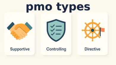 pmo types